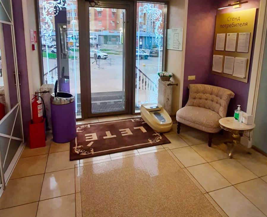 Общий вид входа с ковром