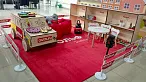 Ковер Саксони в игровую Рольф. Фото 1