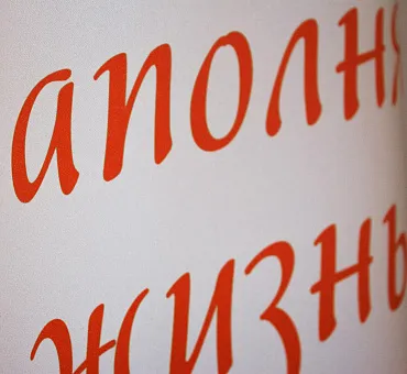 Штора Премиум с логотипом блэкаут