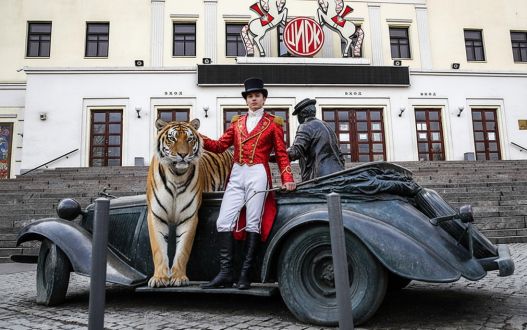 Ковровое покрытие для циркового номера с тиграми