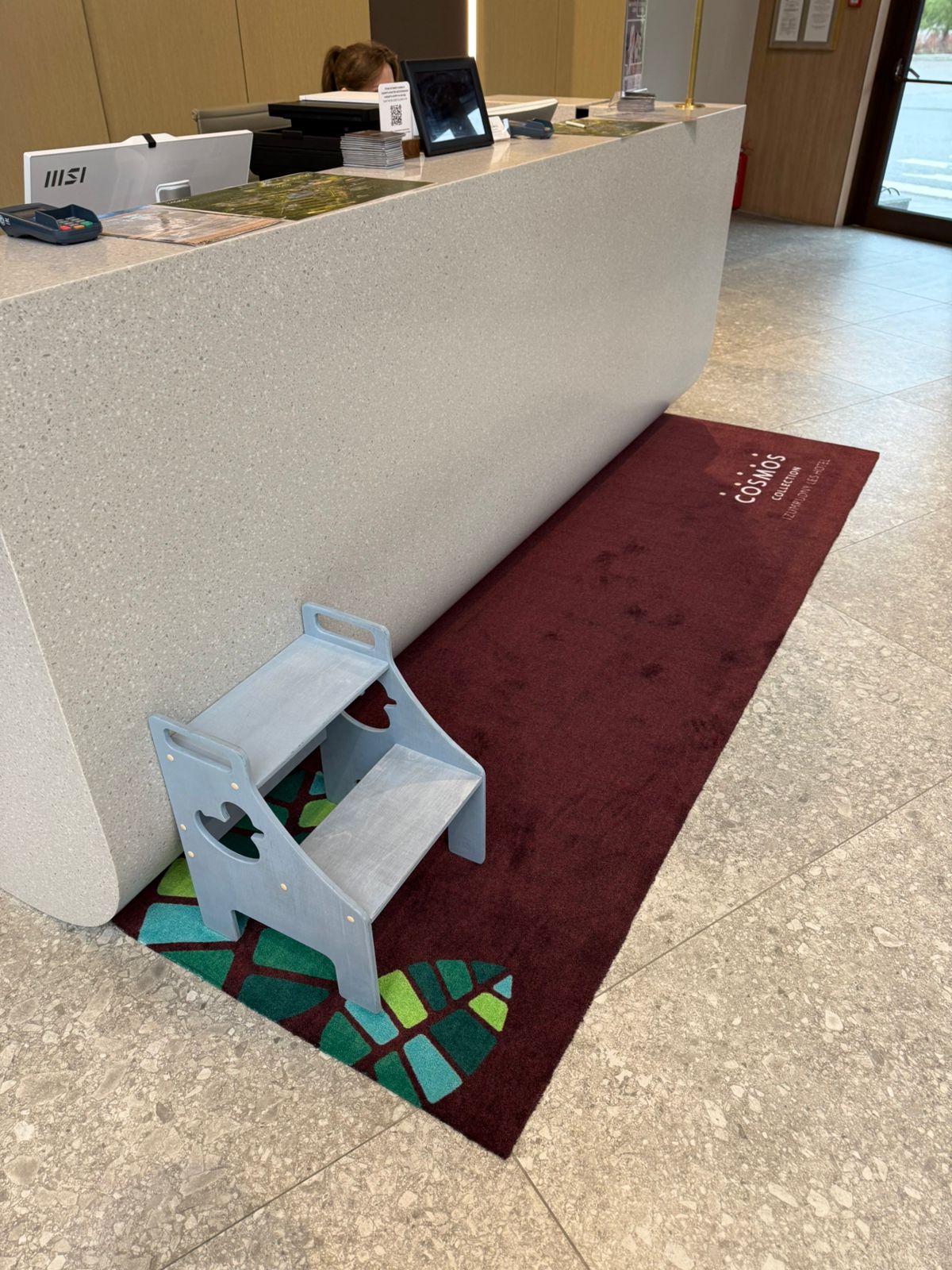 Входной ковер с лого Саксони ТЭП