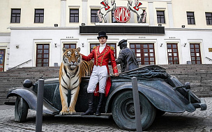 Ковровое покрытие для циркового номера с тиграми