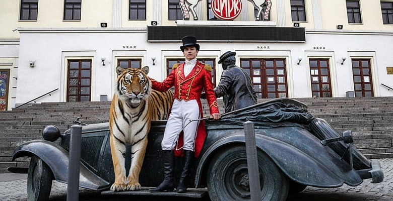 Ковровое покрытие для циркового номера с тиграми